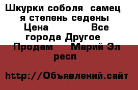 Шкурки соболя (самец) 1-я степень седены › Цена ­ 12 000 - Все города Другое » Продам   . Марий Эл респ.